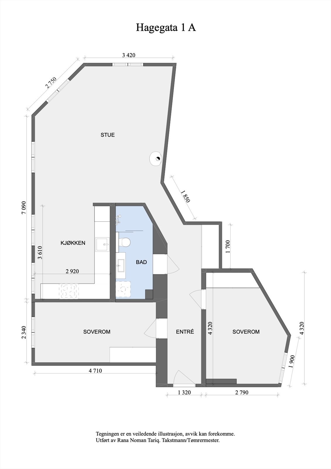 Plantegning Galleribilde