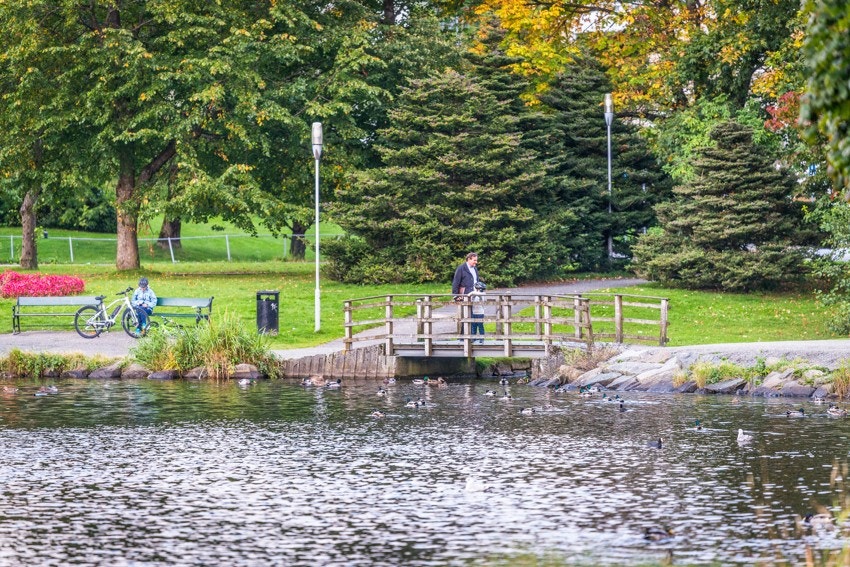 - Populære tveitevannet ligger en liten spasertur unna leiligheten - Galleribilde