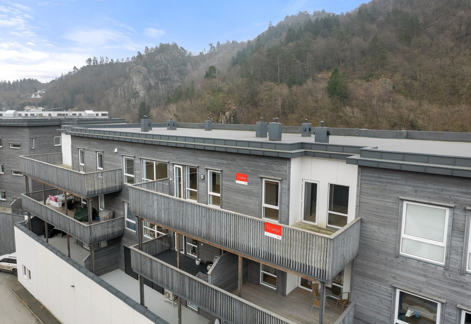 4908159_1-mxillb1.jpg Galleribilde