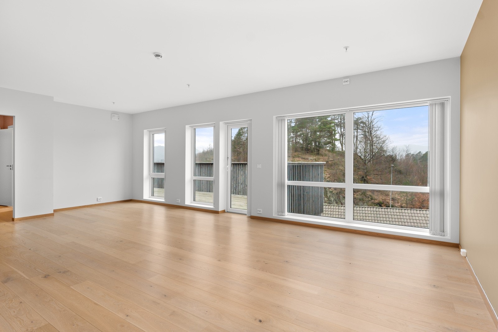 4908131_1-tkmrob1.jpg Galleribilde