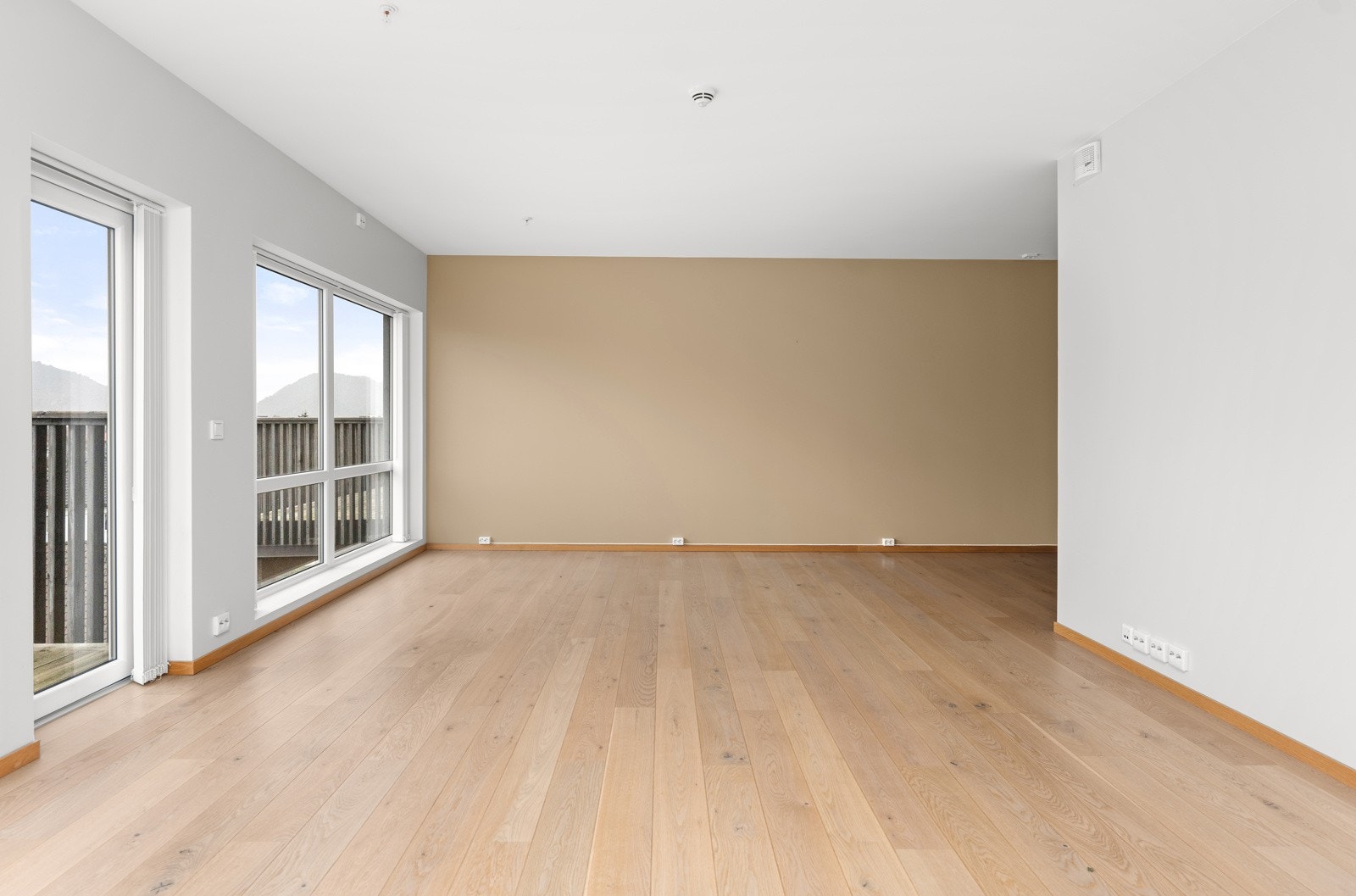 4908129_1-vhoodb1.jpg Galleribilde