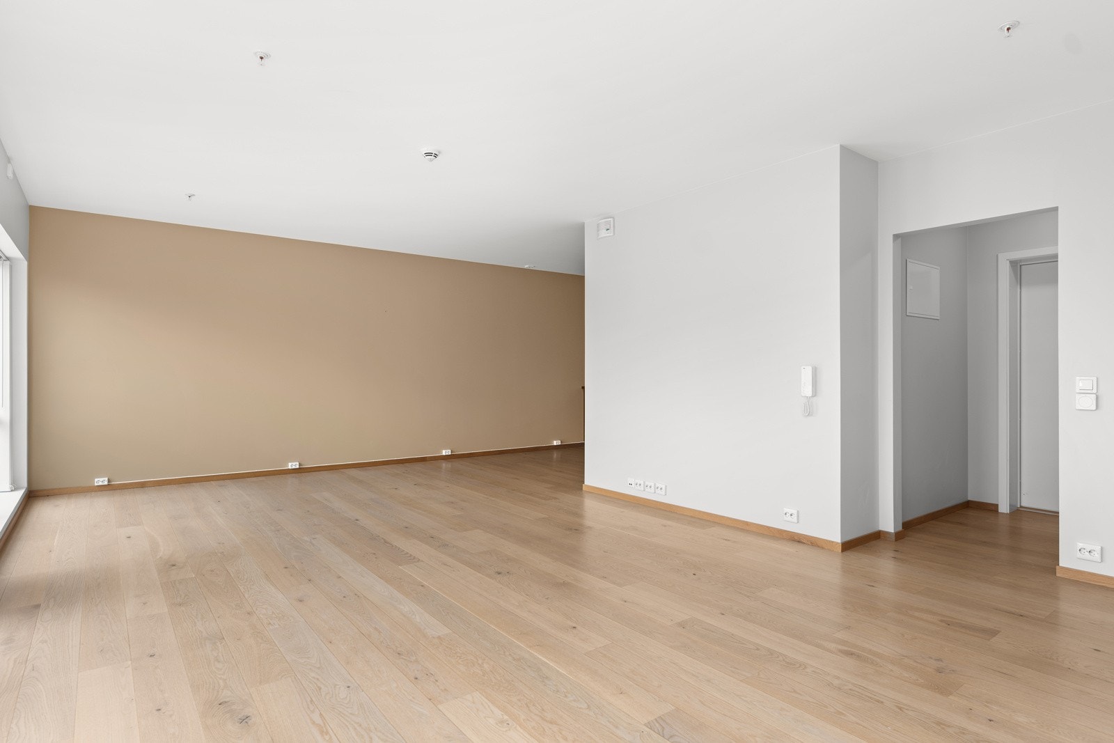 4908128_1-ppztxb1.jpg Galleribilde