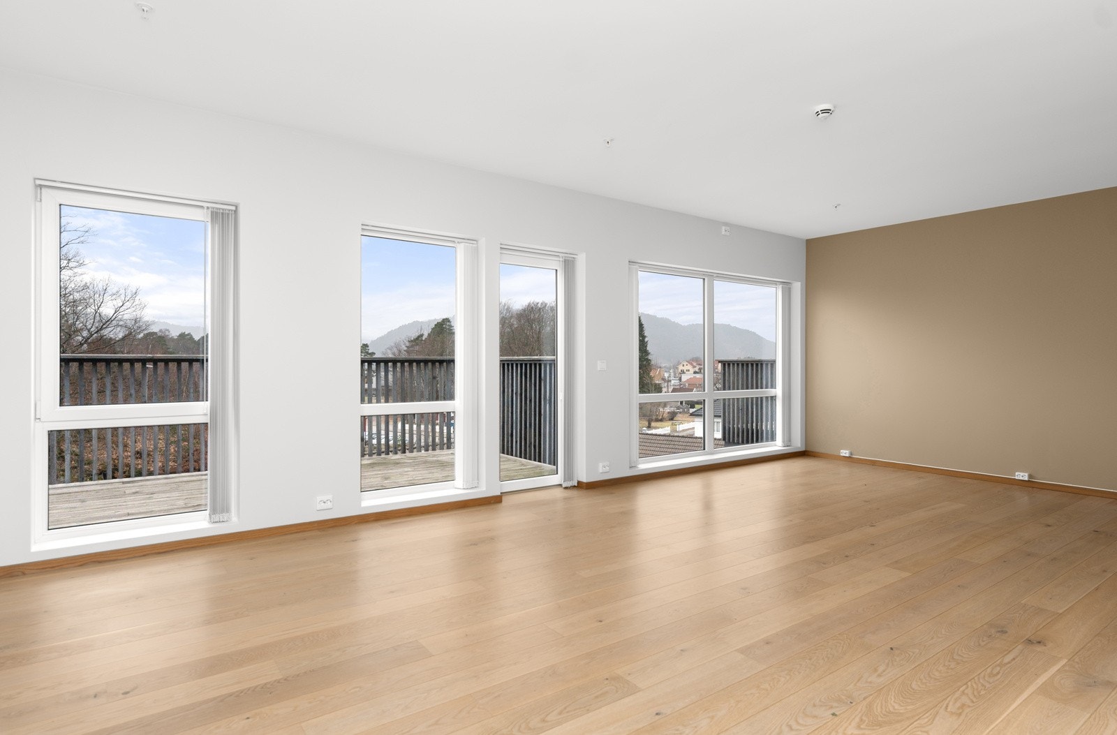 4908127_1-fwwpyb1.jpg Galleribilde