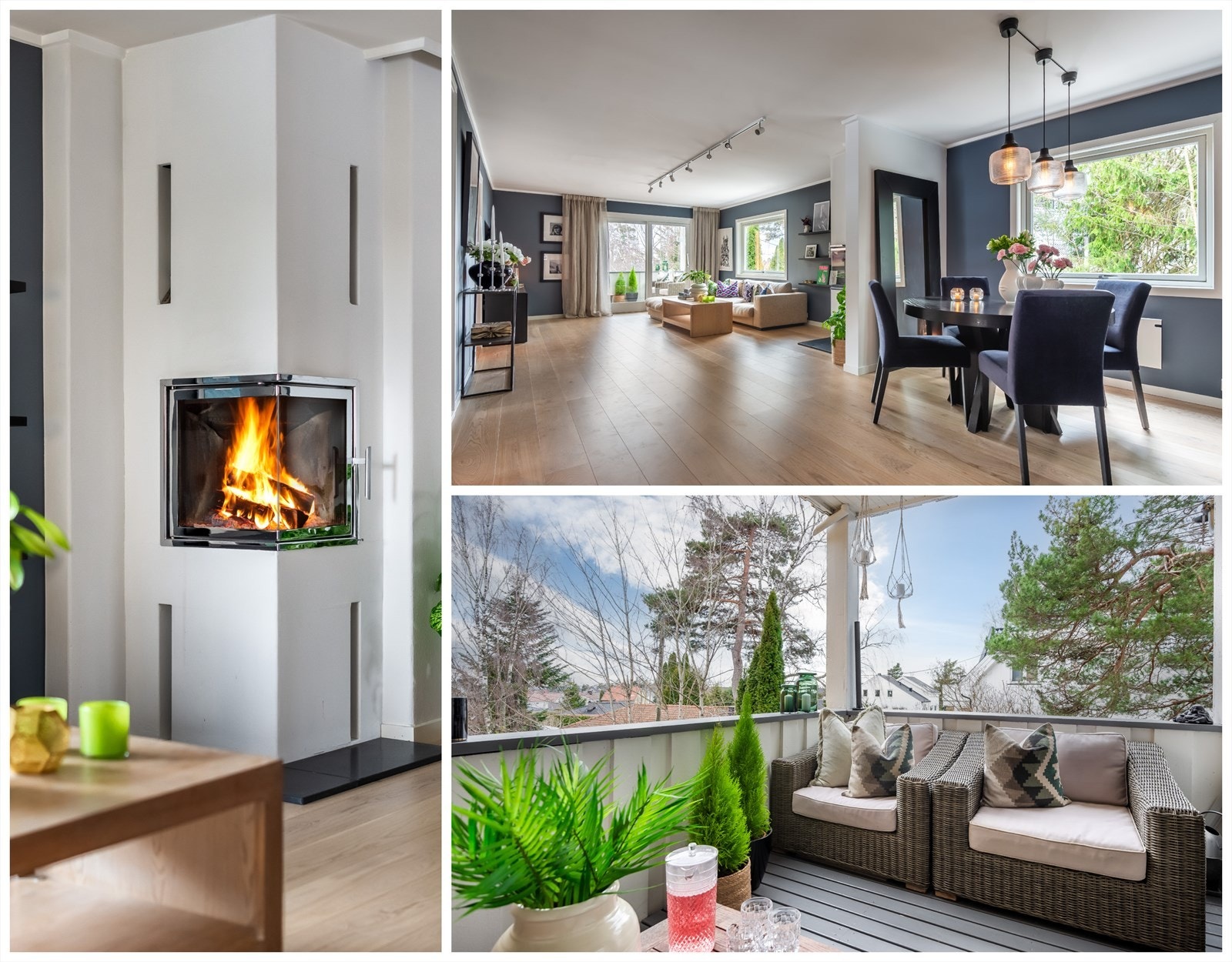 Boligen slipper inn lys fra alle fire sider. Galleribilde