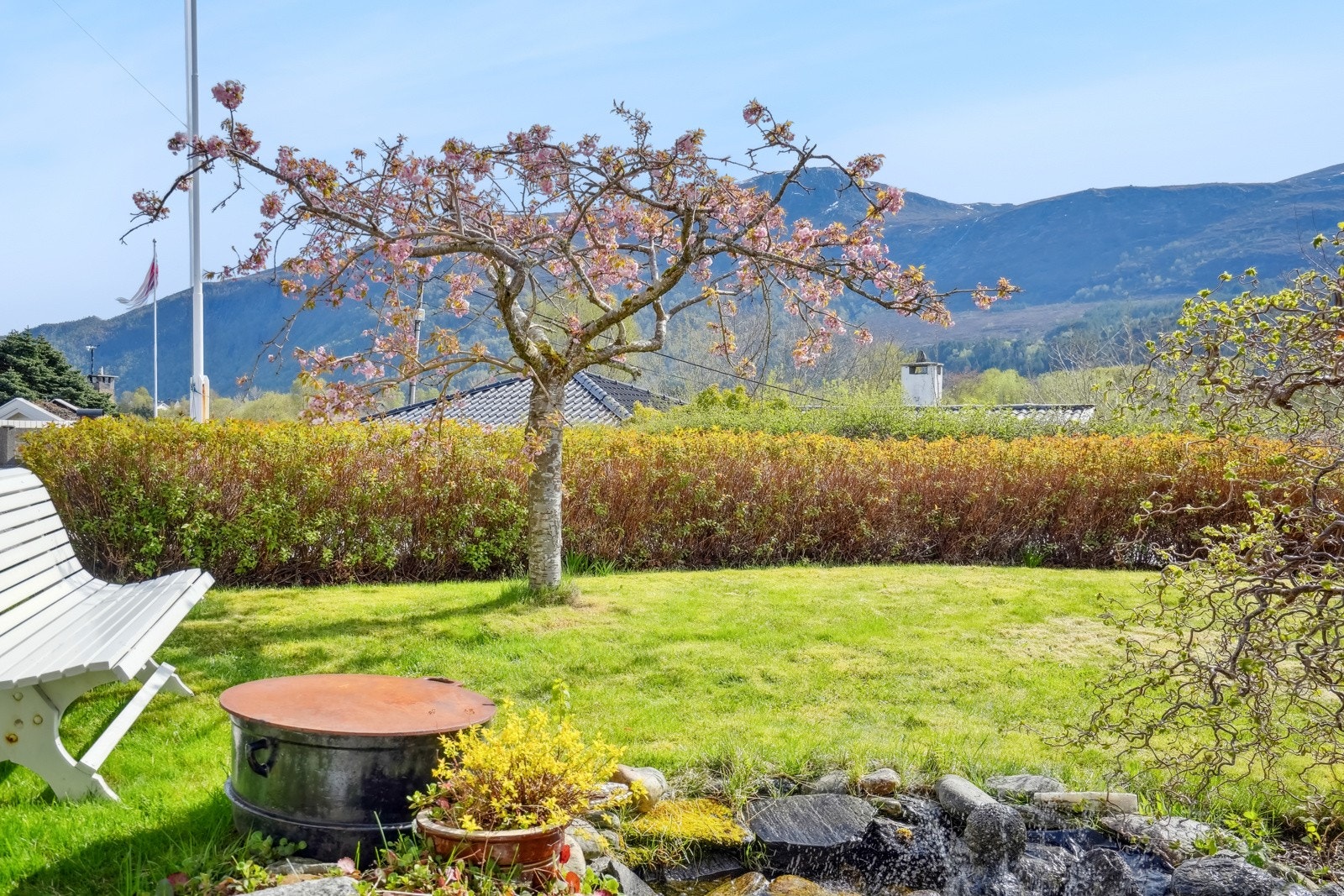 Svært trivelig plass med nok boltreplass til både store og små! Galleribilde