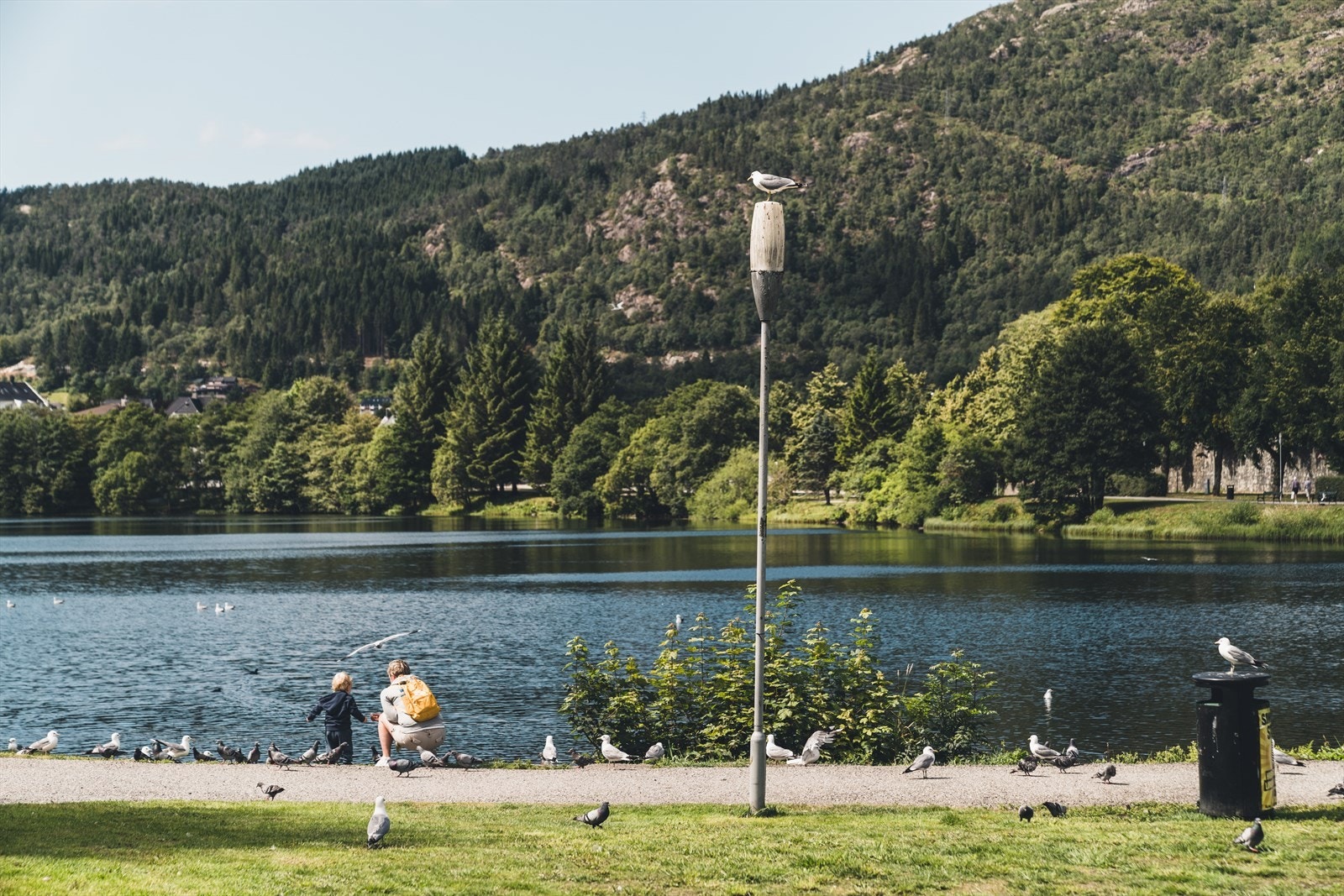 Et nærområde med fantastiske tur- og fritidsmuligheter. Man kan enkelt ta seg til byfjellene eller spasere langs Tveitevannet. Galleribilde