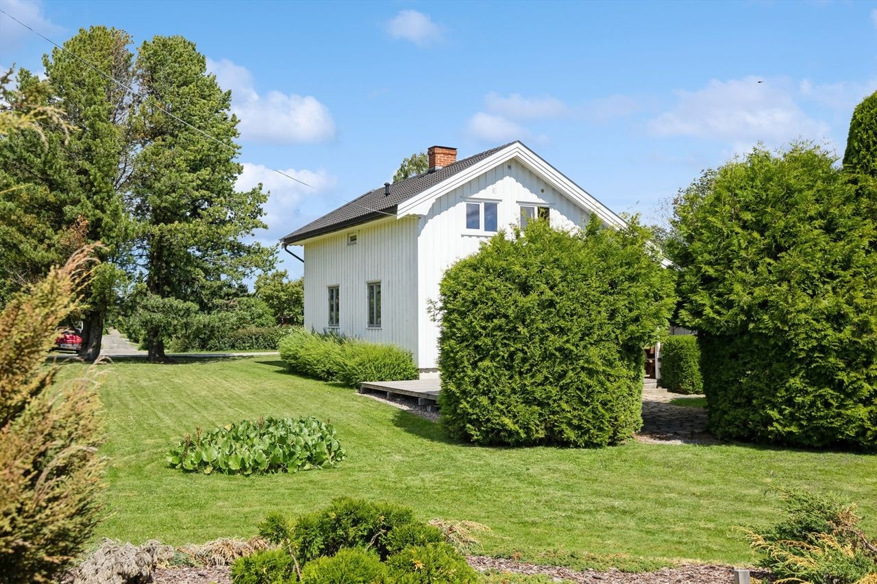 Frodig hage Galleribilde