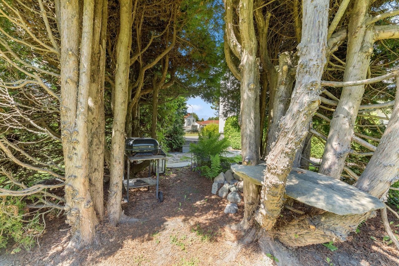 Hage, grillplass Galleribilde