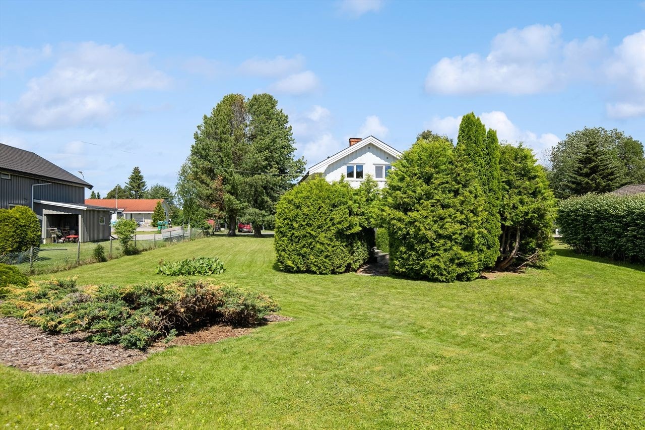 Hage og tomt Galleribilde