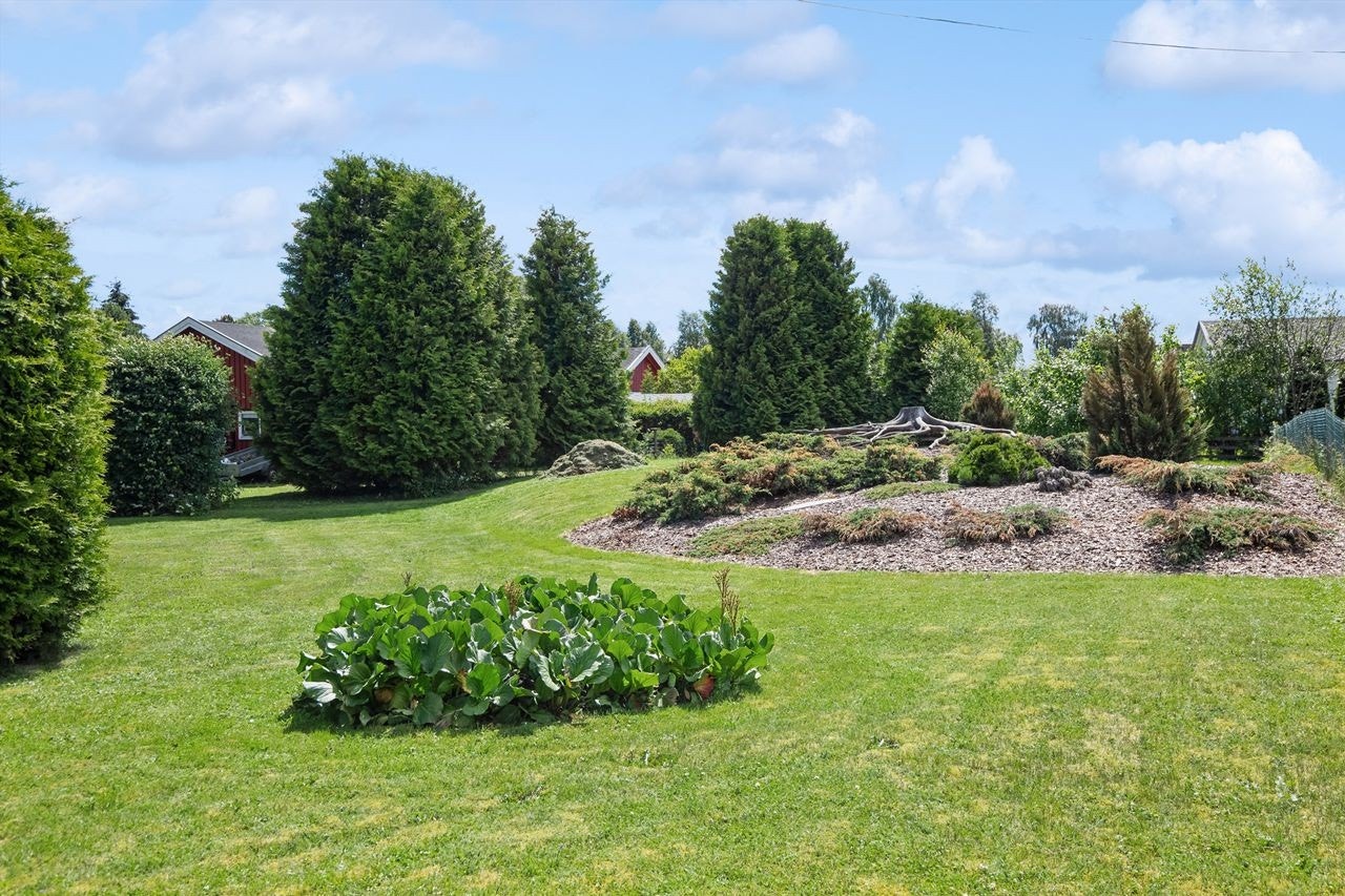 Hage og tomt Galleribilde