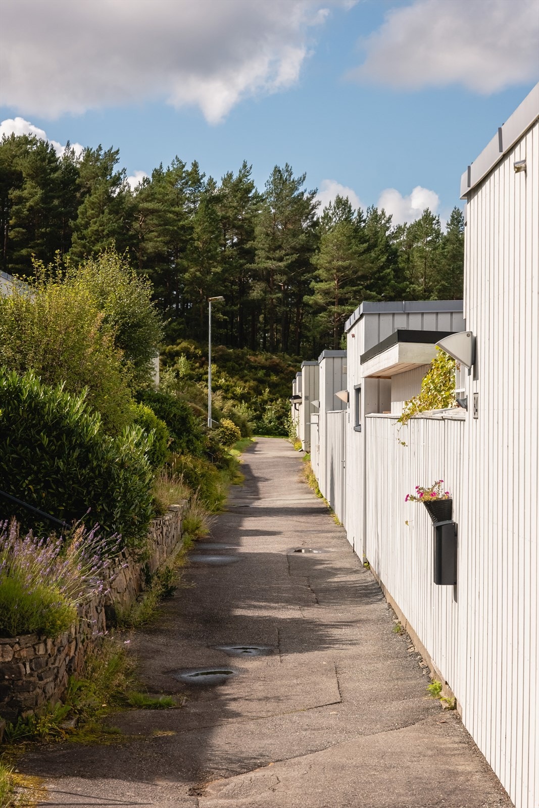 Barnevennlig gatetun like utenfor porten. Galleribilde
