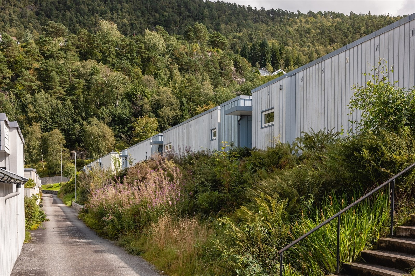 Muligheter for opparbeidelse av bakhage. Galleribilde