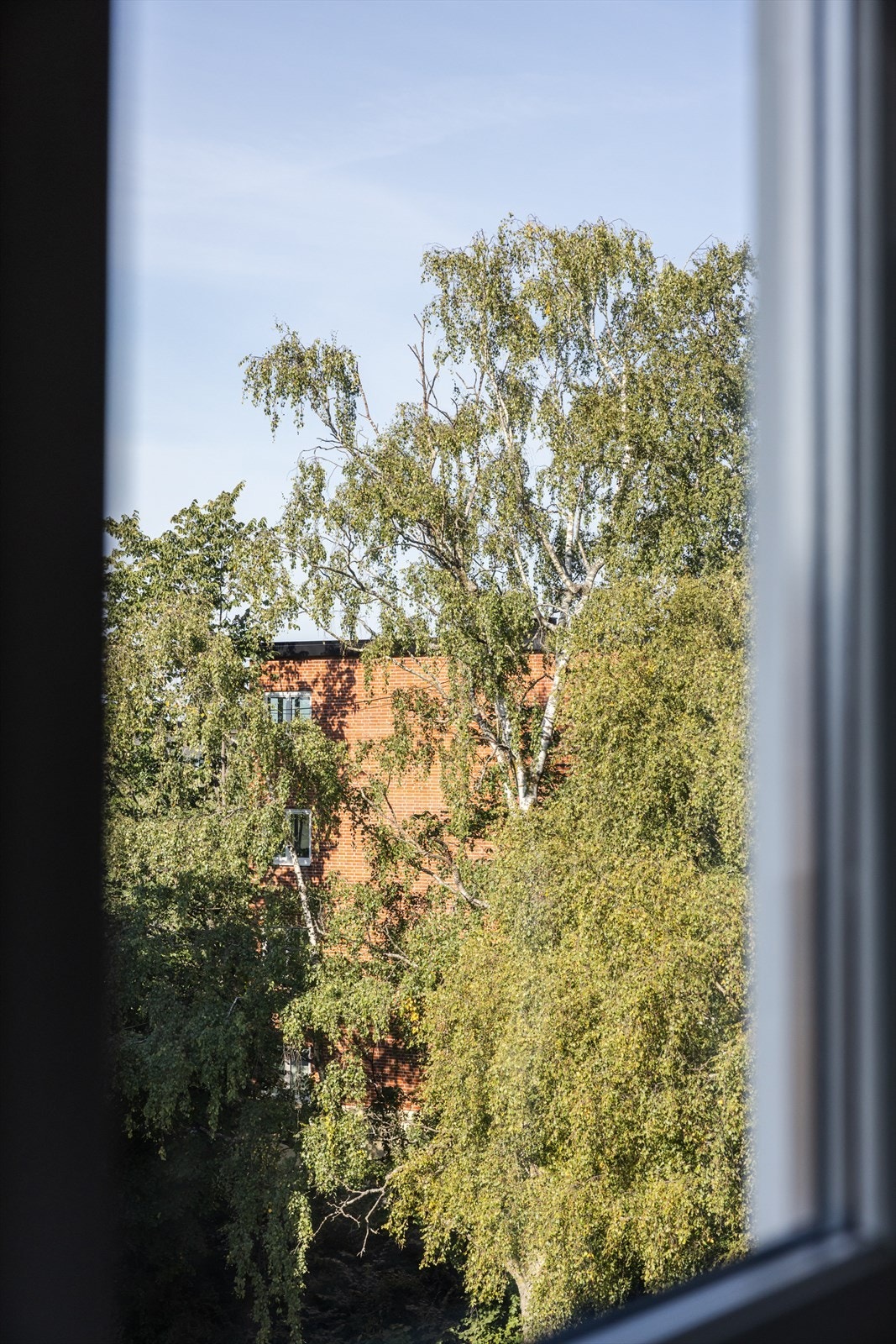 - Utsyn fra stue - Galleribilde