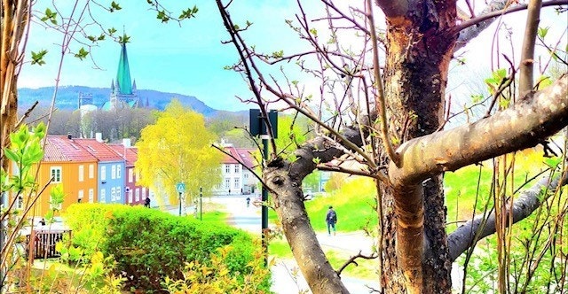 Utsikt fra markterrassen Galleribilde