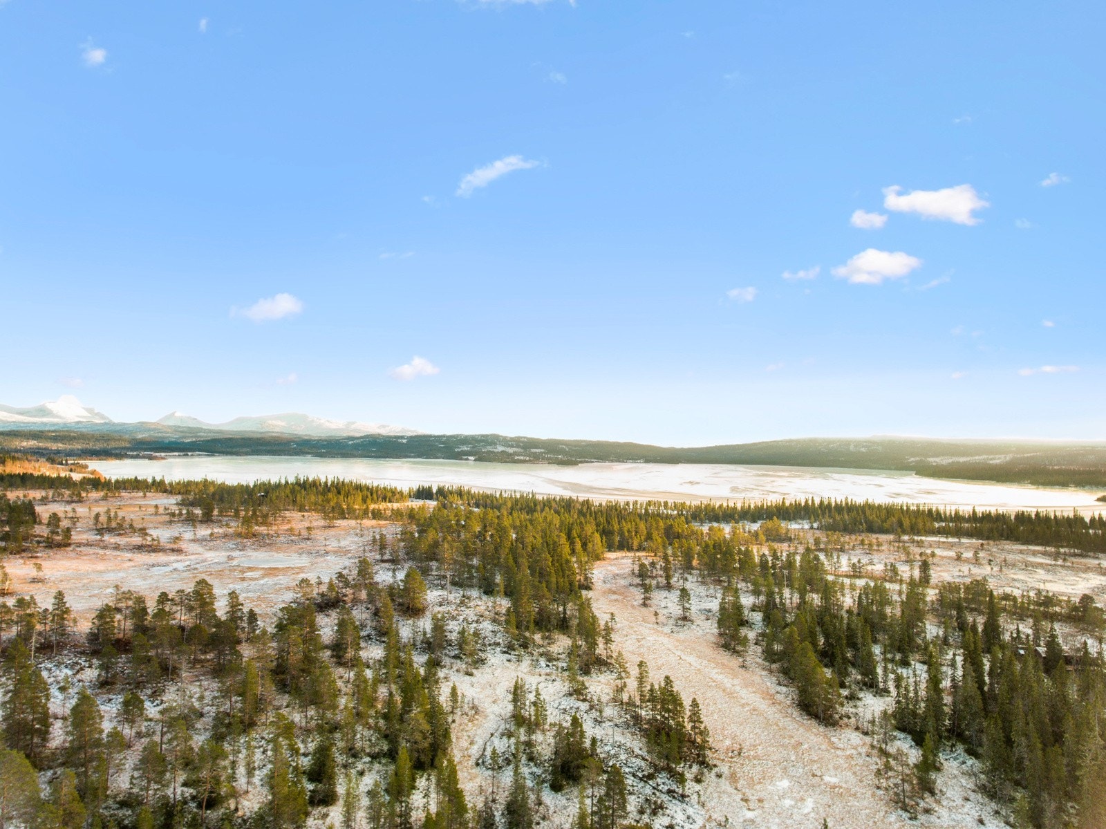 Sti inn i Blåfjella-Skjækerfjella Nasjonalpark fra Vera. Galleribilde