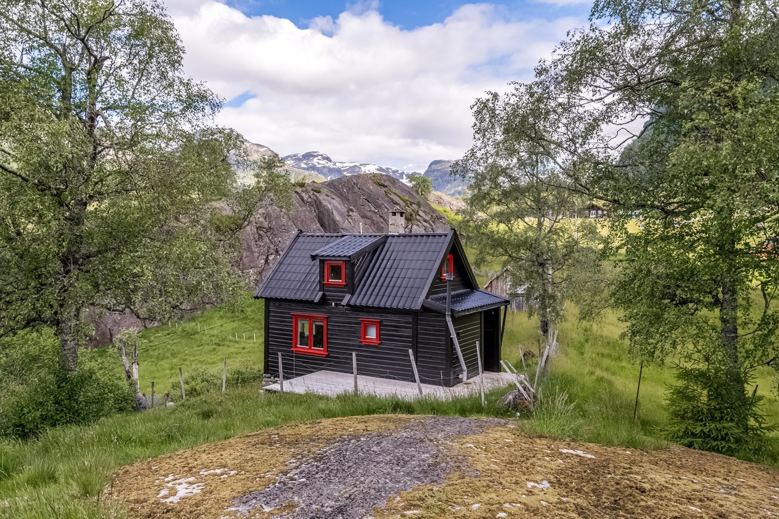 TIM05375 Galleribilde