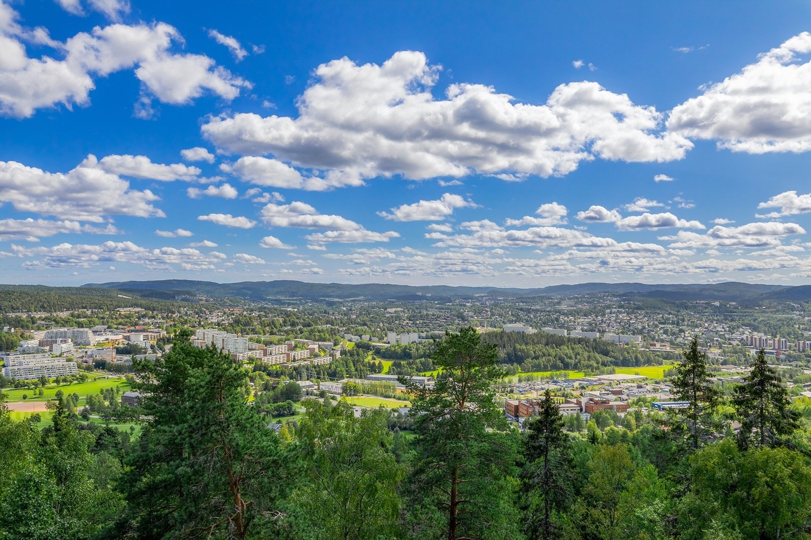 Utsikt. Galleribilde