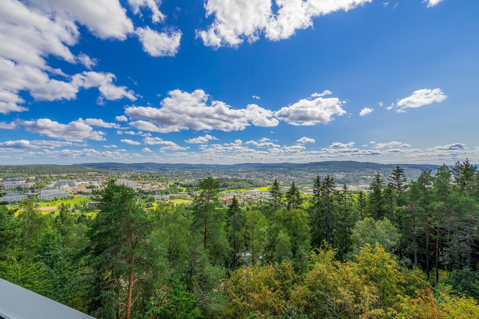 Utsikt mot flotte og grønne omgivelser. Galleribilde