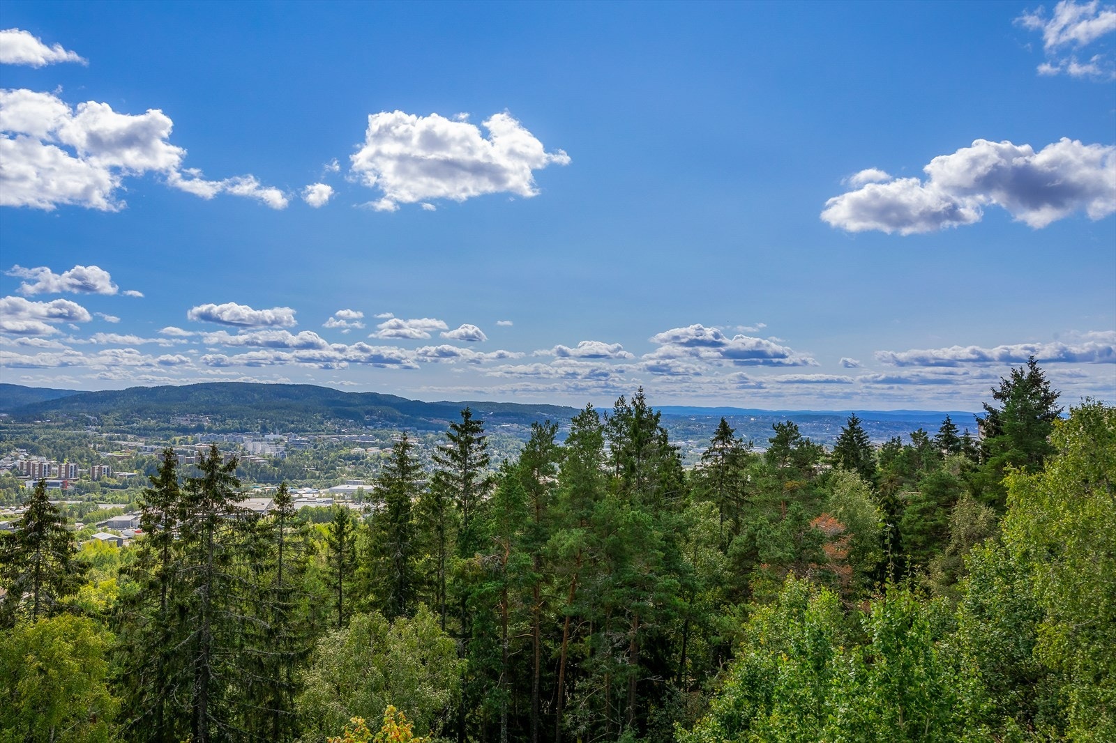 Utsikt. Galleribilde