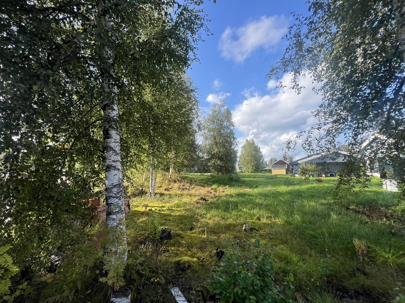 Meget fin og barnevennlig beliggenhet på Bjørkelangen med gangavstand til det meste. Galleribilde