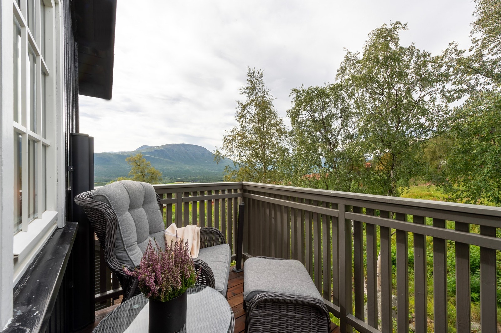Flott utsikt fra terrassen. Galleribilde
