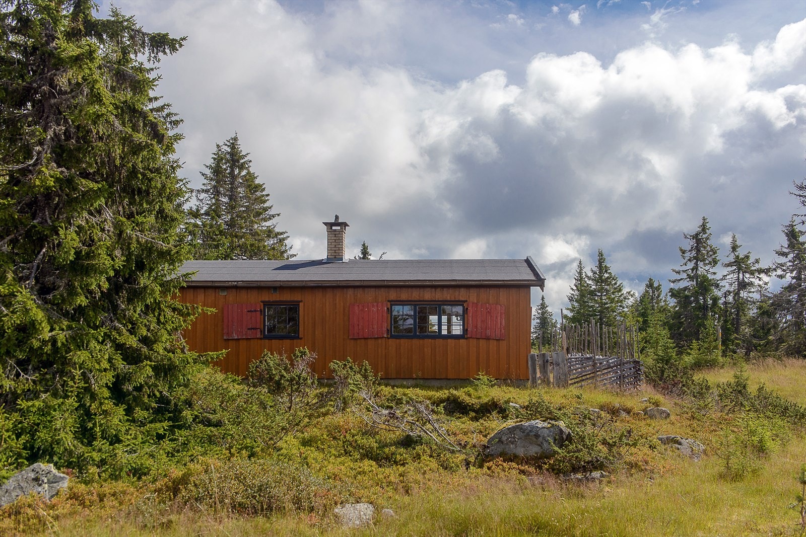 Det er fritt og fint rundt hytta, som ligger i relativt lunt og flatt terreng. Ypperlige turmuligheter rett utenfor døra, sommer som vinter. Galleribilde