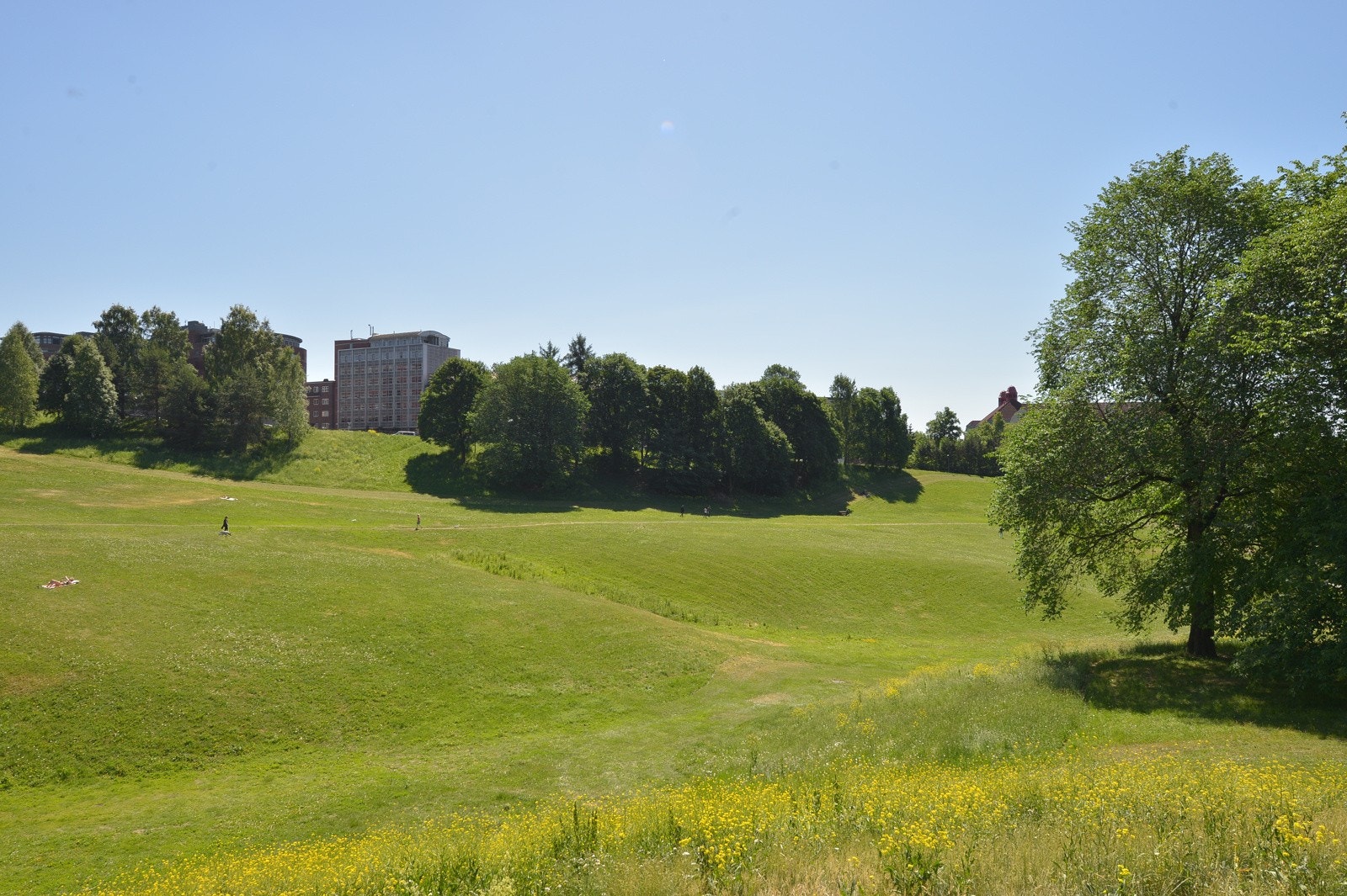 Torshovdalen blir et naturlig tilholdssted sommerhalvåret! Galleribilde