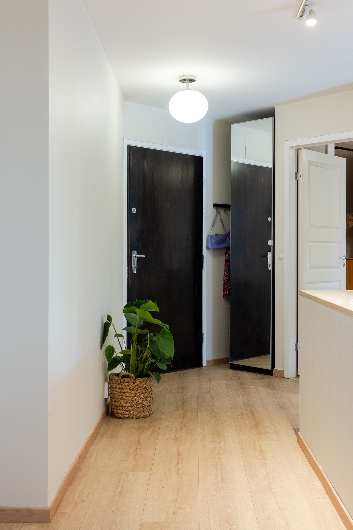 Velkommen! Fra felles inngangsparti har du trappefri adkomst til det som kan bli ditt/deres nye hjem. Galleribilde