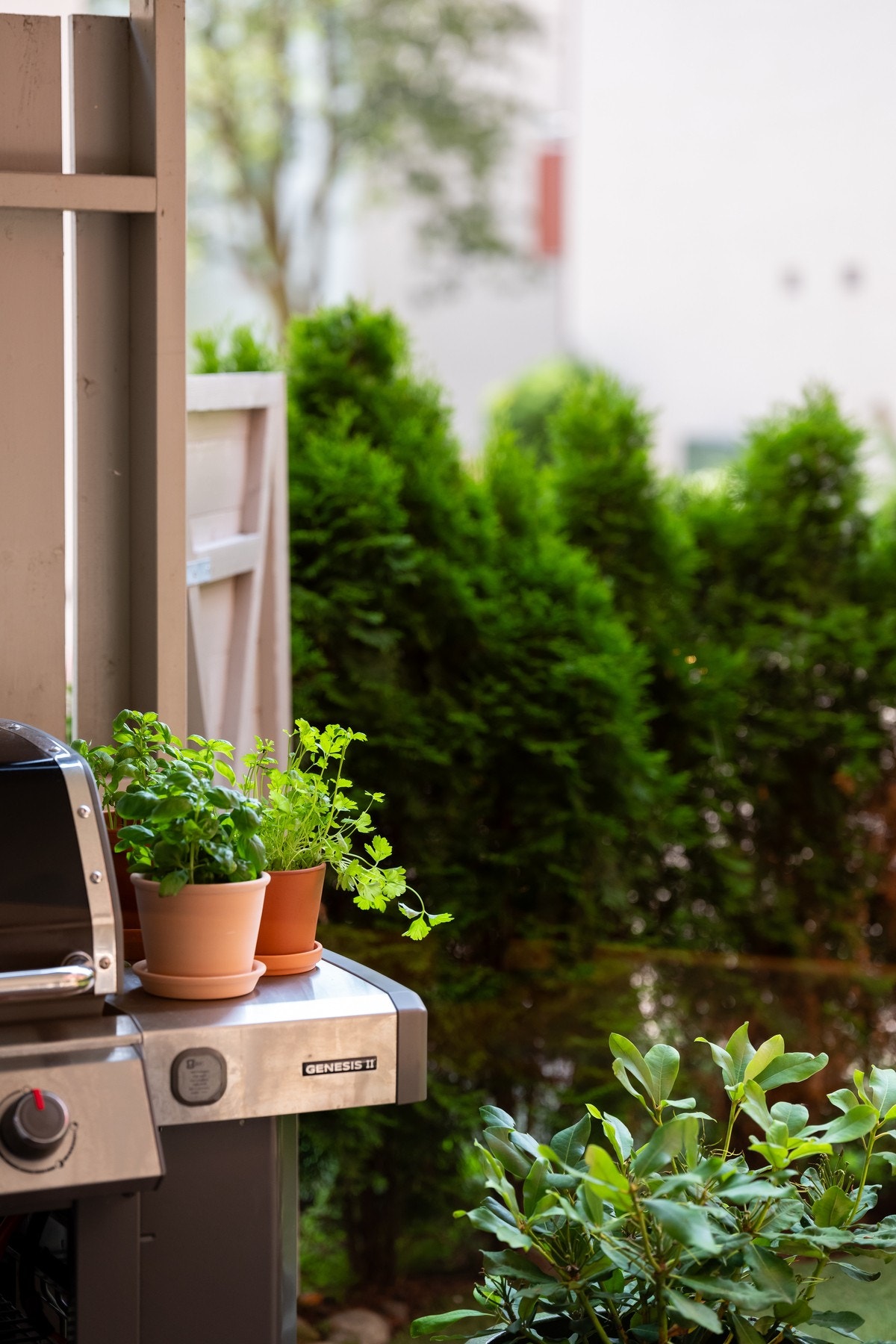 Borettslaget tillater elektrisk og gassgrill så her kan du enkelt lage middagene ute. Galleribilde