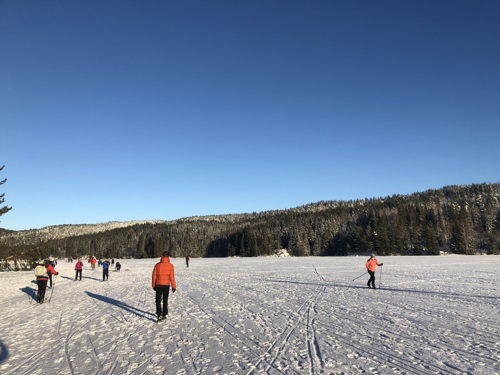 Selgers vinterbilder fra skitur på Nøklevann Galleribilde