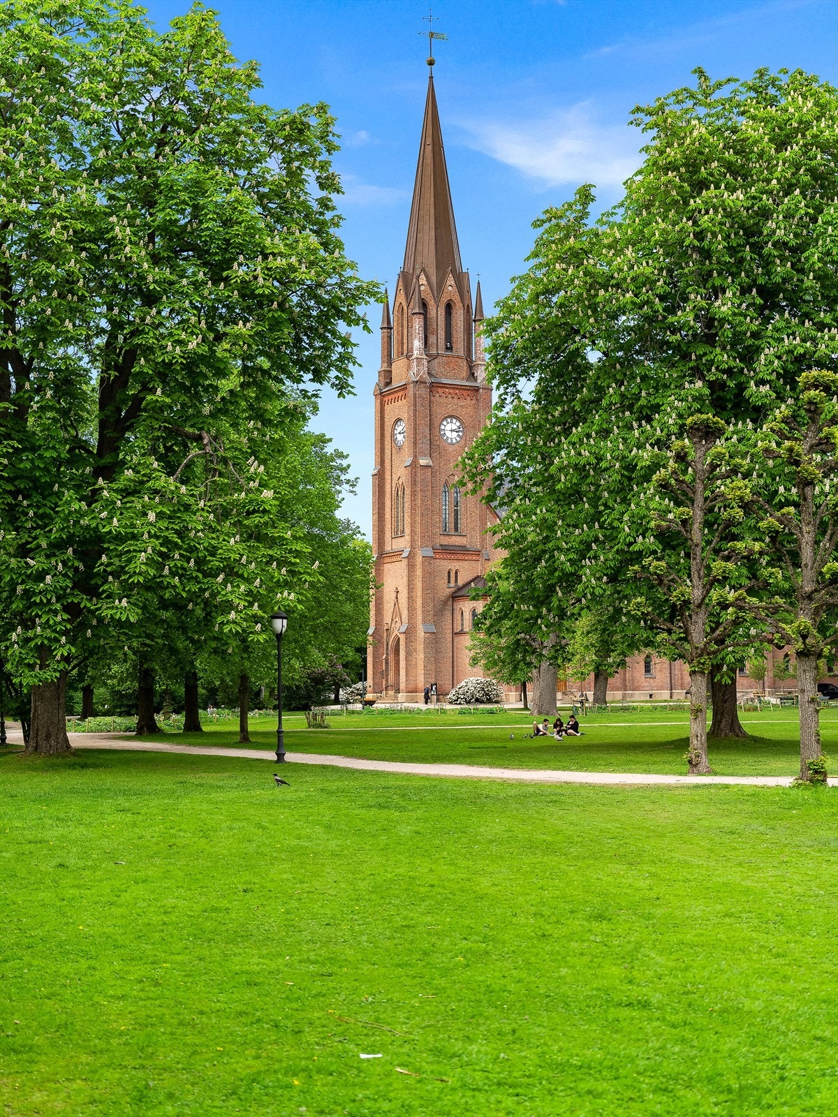 Nærområde Galleribilde