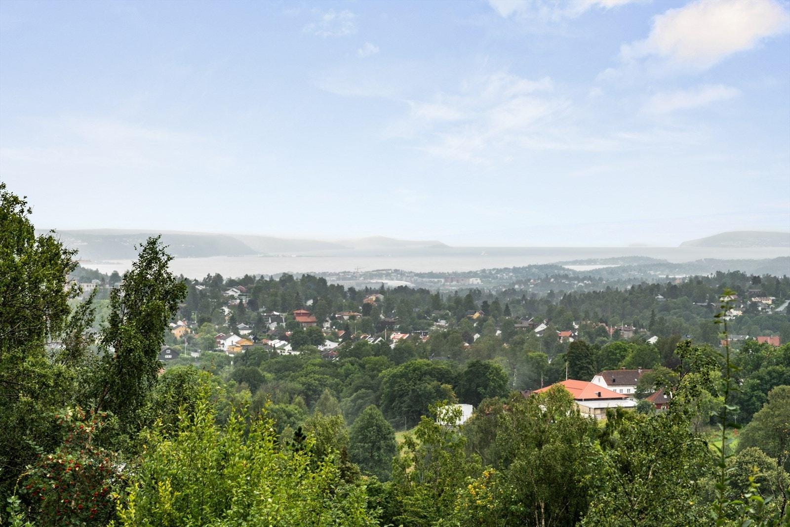 Oslofjorden. Galleribilde