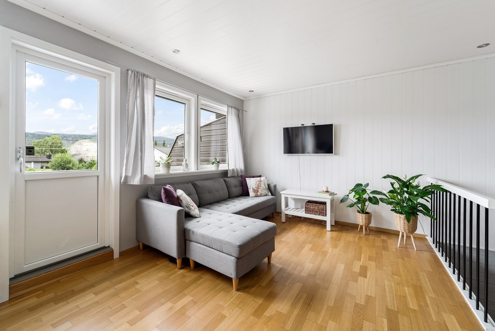 TV-sone Galleribilde