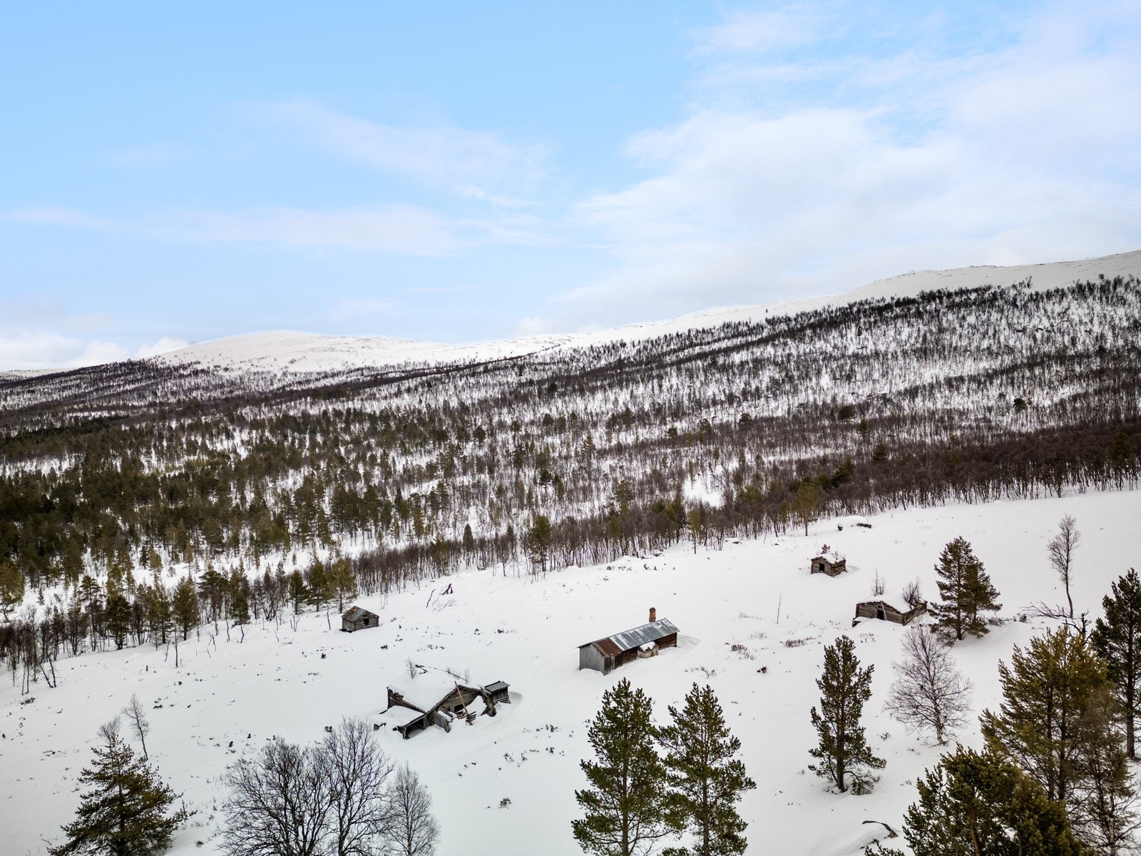 Seter Galleribilde