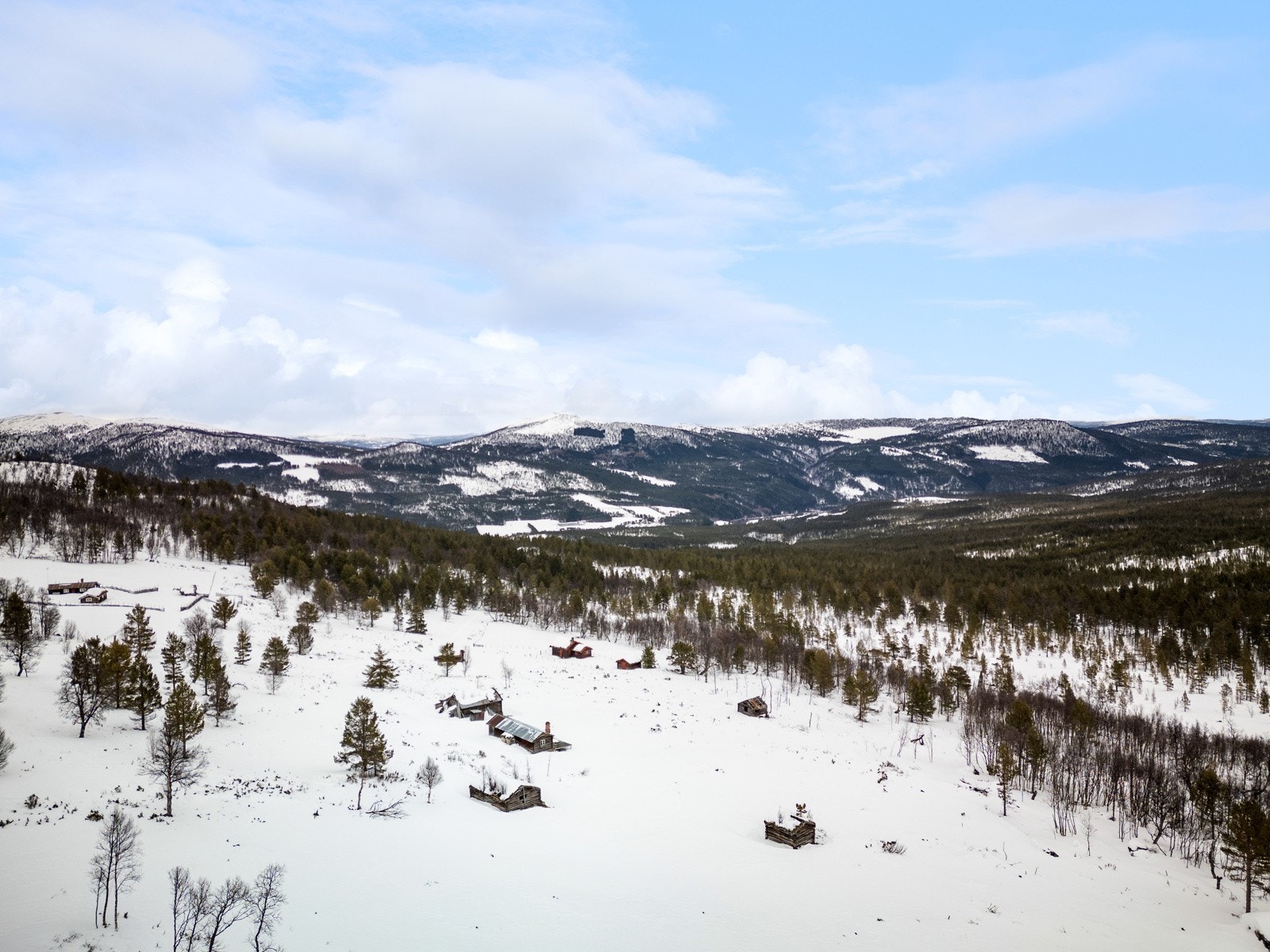 Seter Galleribilde