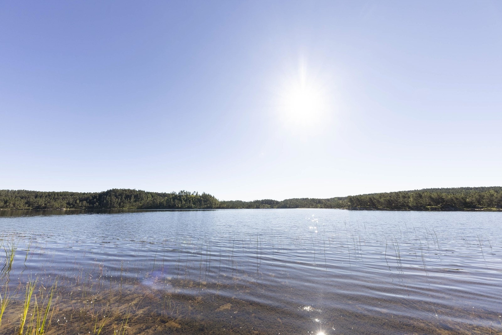 Områdebilde Galleribilde