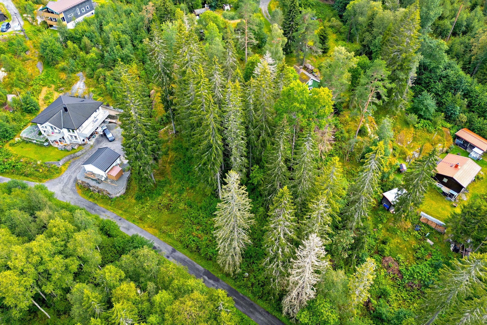 Velkommen til Lille Karlsrud 41! Galleribilde