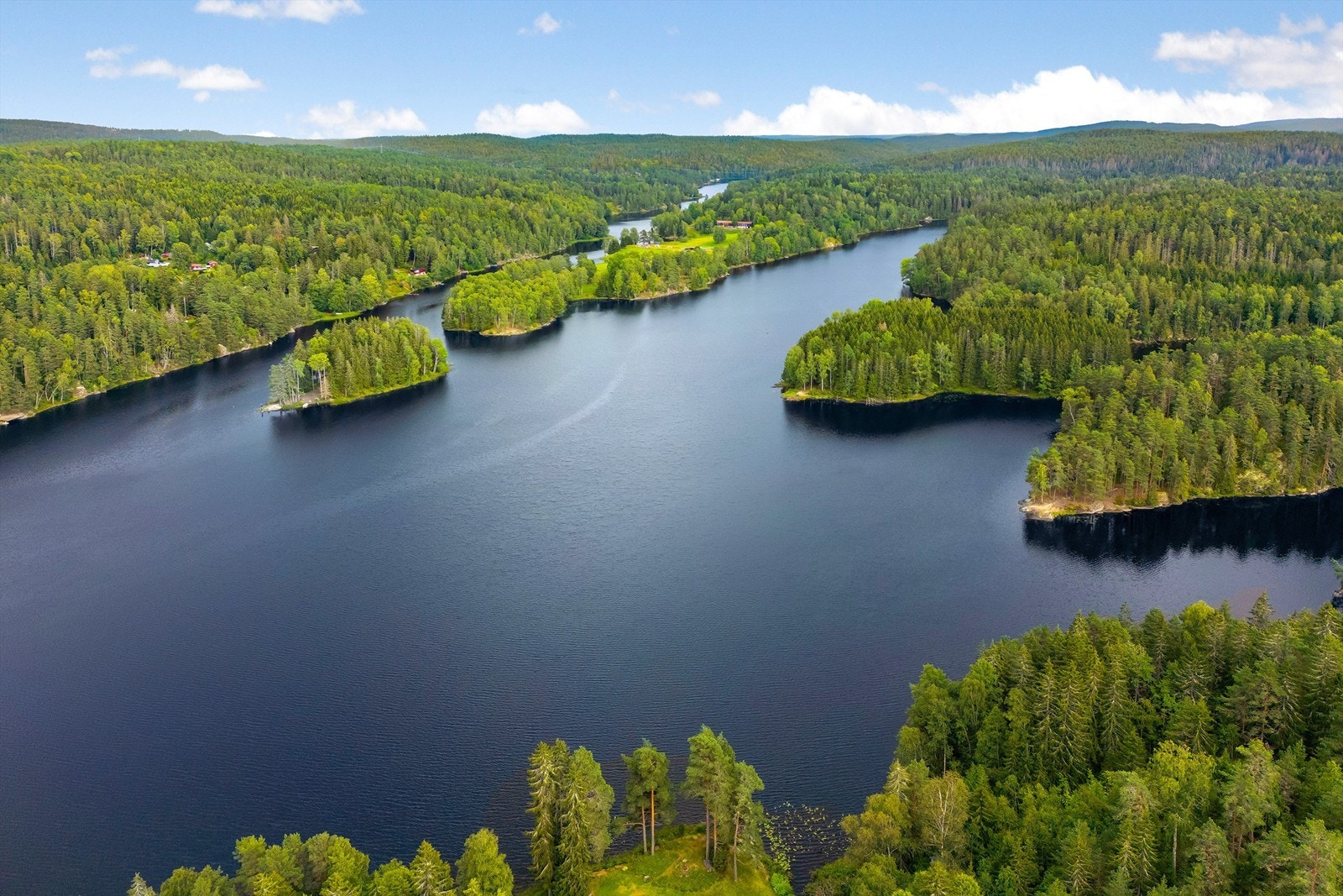 Flott nærområde Galleribilde