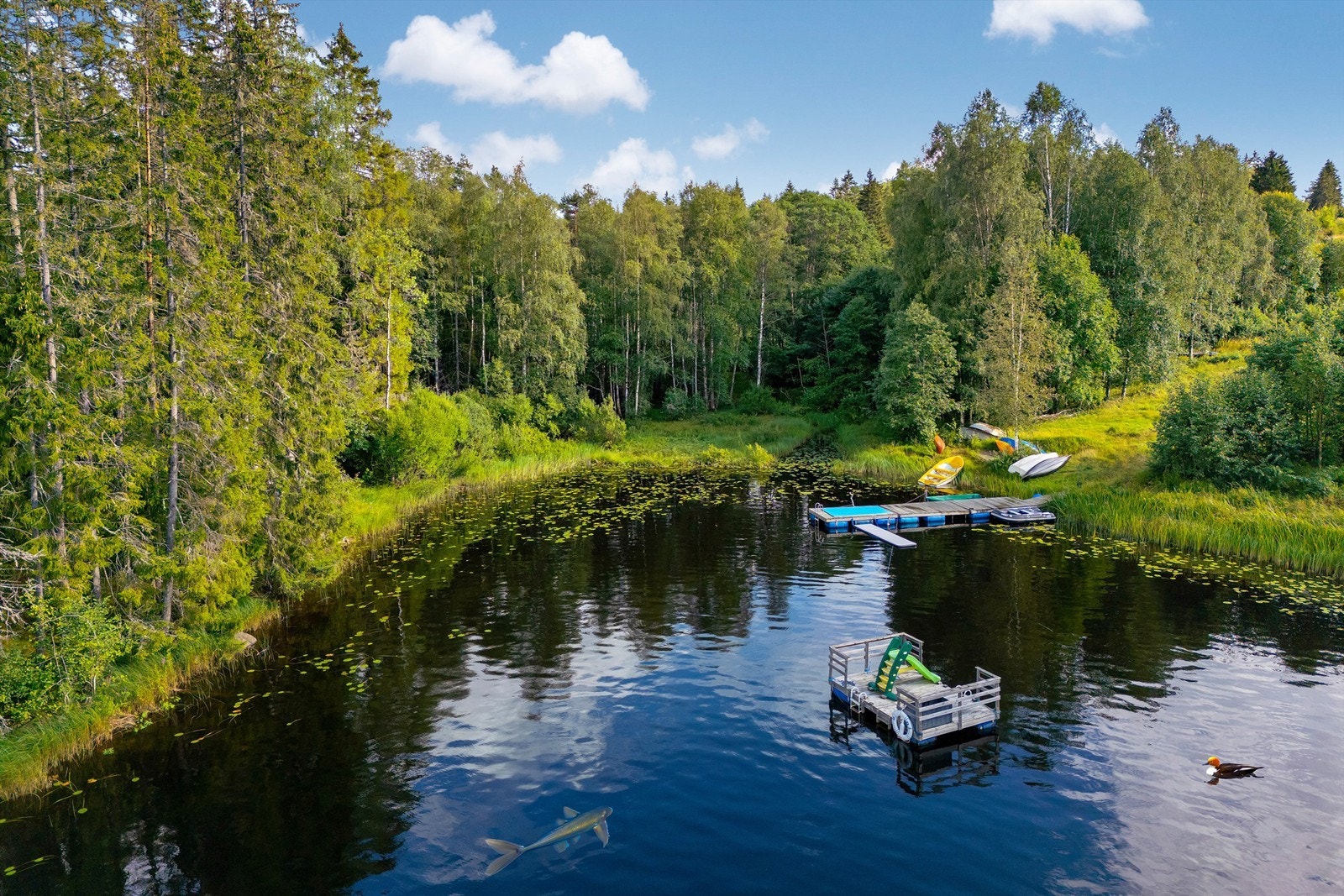 Koselig brygge- og badeområde - fisken og fuglen er lagt til med KI Galleribilde
