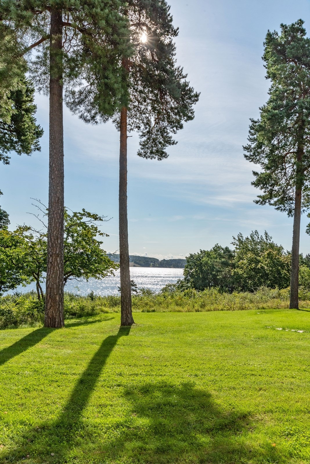 - Utsikt fra terrassen - Galleribilde