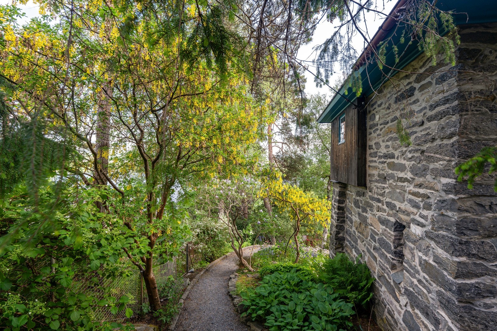 Inngang til den spennende hagen. Galleribilde