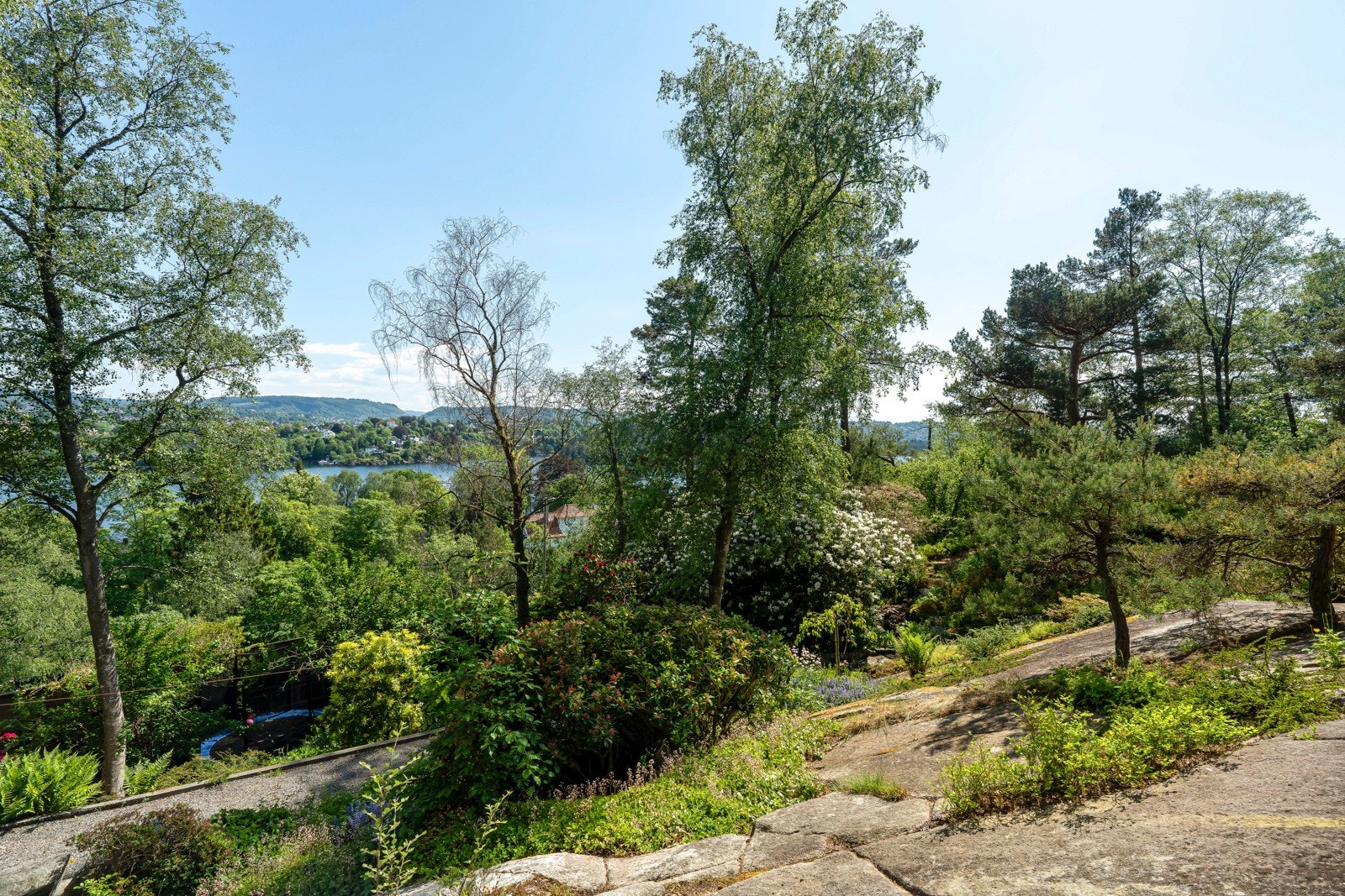 Pergola sett fra oversiden. Vakkert beplantet med villvin. Galleribilde