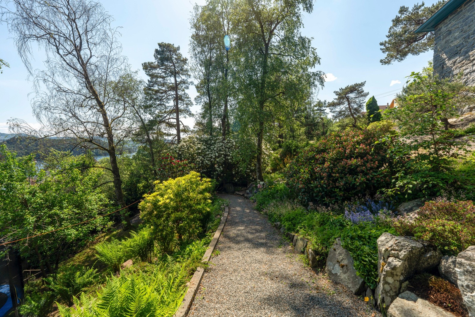 Frodig beplantning. Galleribilde