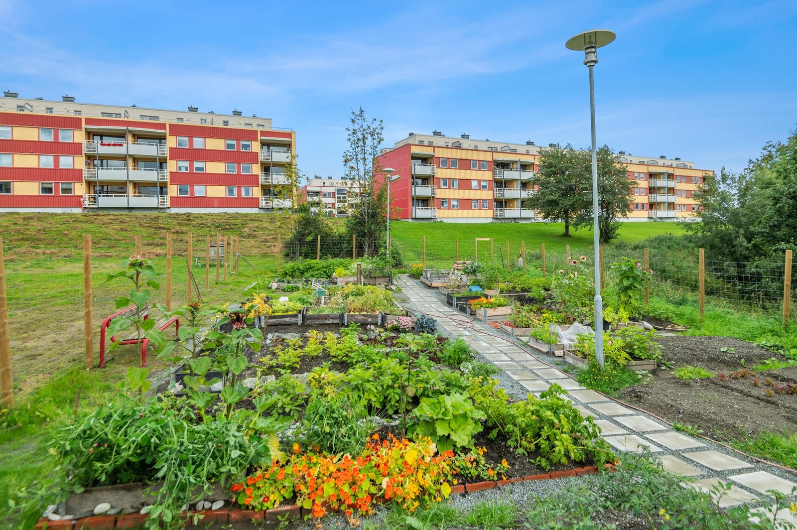 Flotte fellesareal for borettslaget. Galleribilde