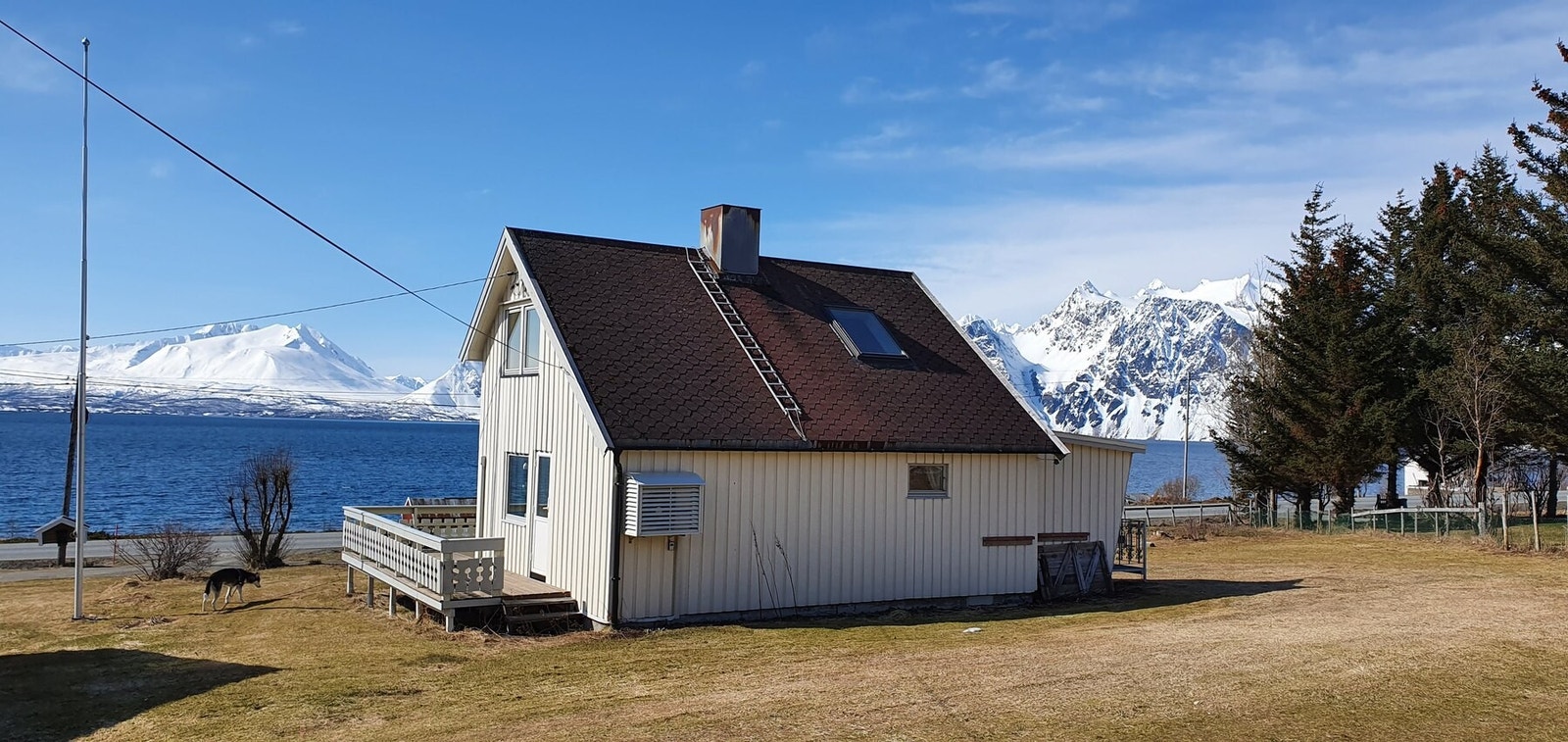 Eiendomsmegler 1 Galleribilde