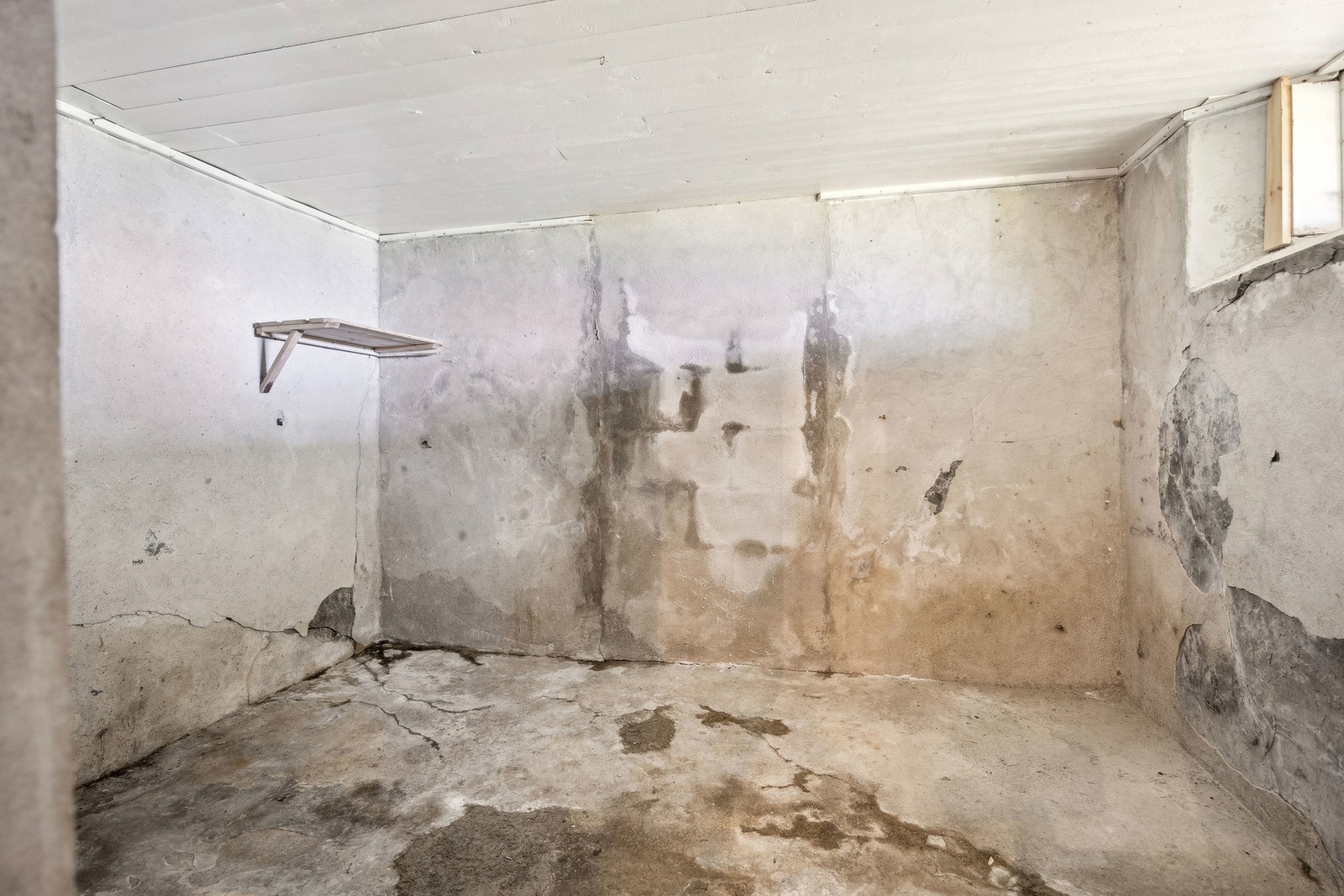 Velkommen til visning! Galleribilde