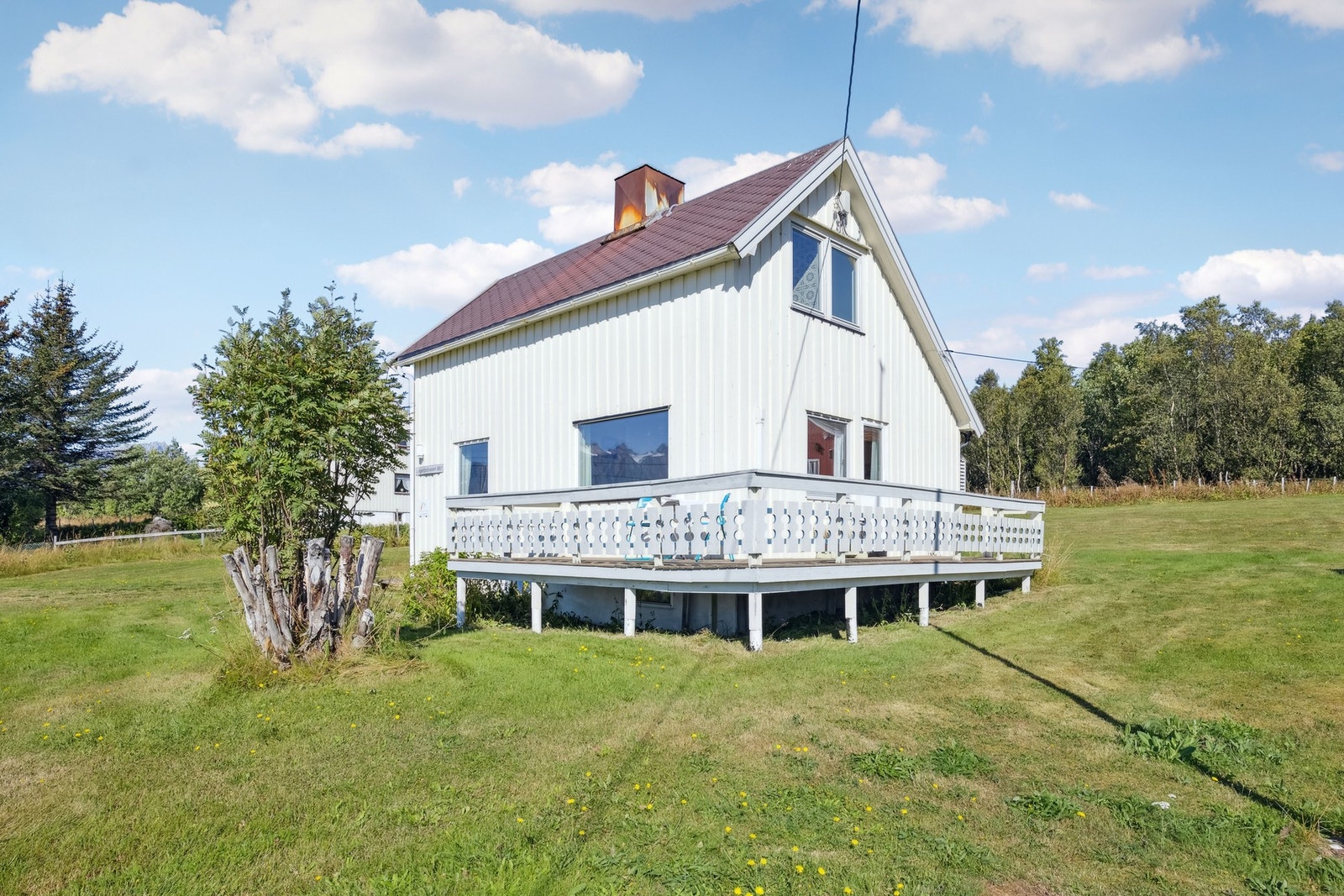 Også noen sommer bilder fra selger Galleribilde