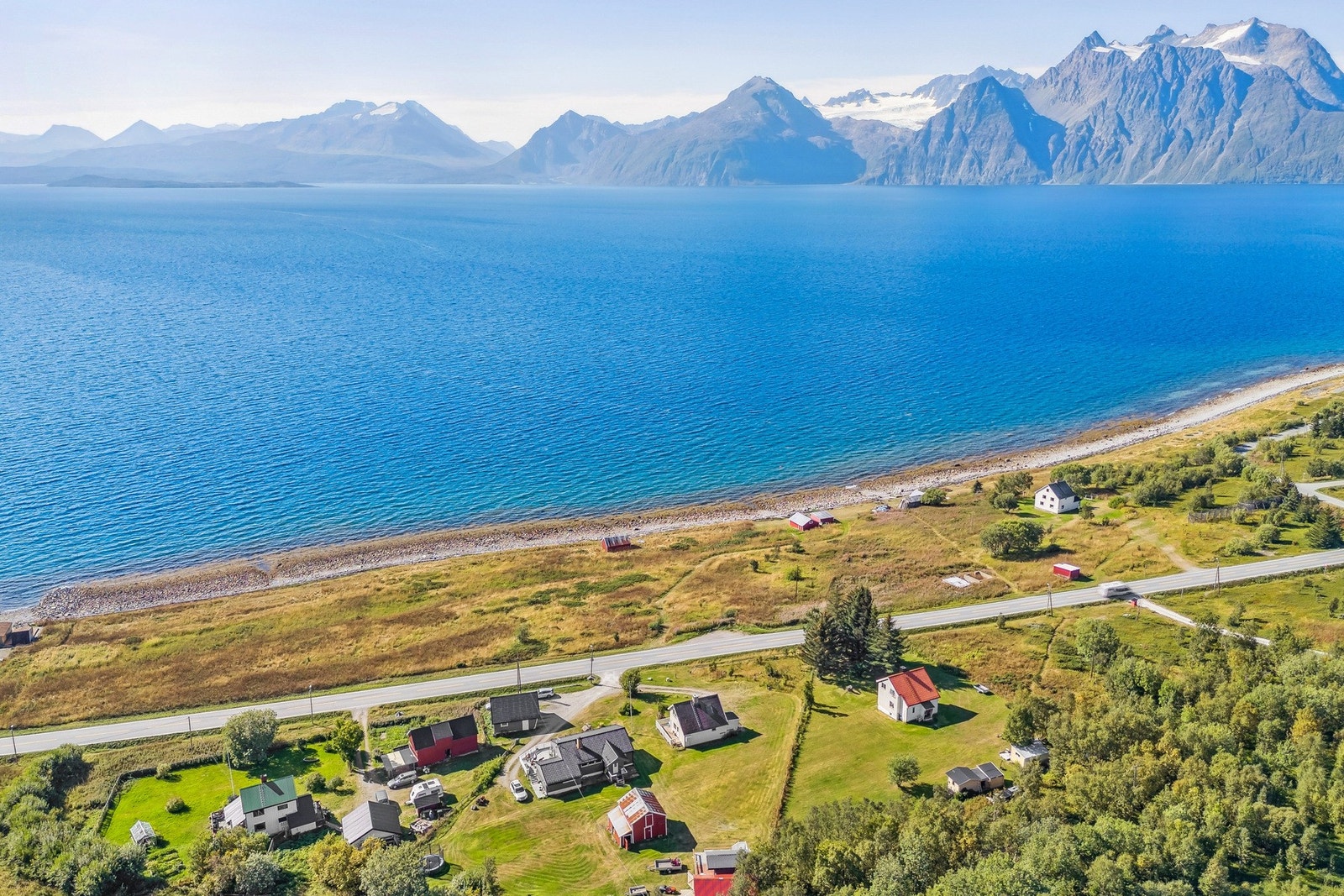 I naturen Galleribilde