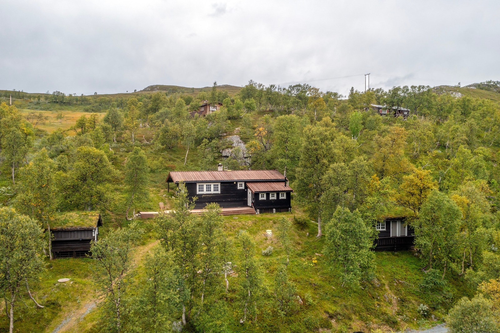 Velkommen til visning! Galleribilde