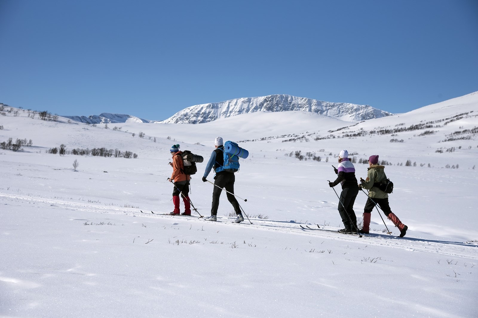 Bilde fra skisporet inn mot Gjevilvassdalen med Blåhø i bakgrunnen Galleribilde